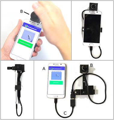 Event-Based Gesture Recognition With Dynamic Background Suppression Using Smartphone Computational Capabilities